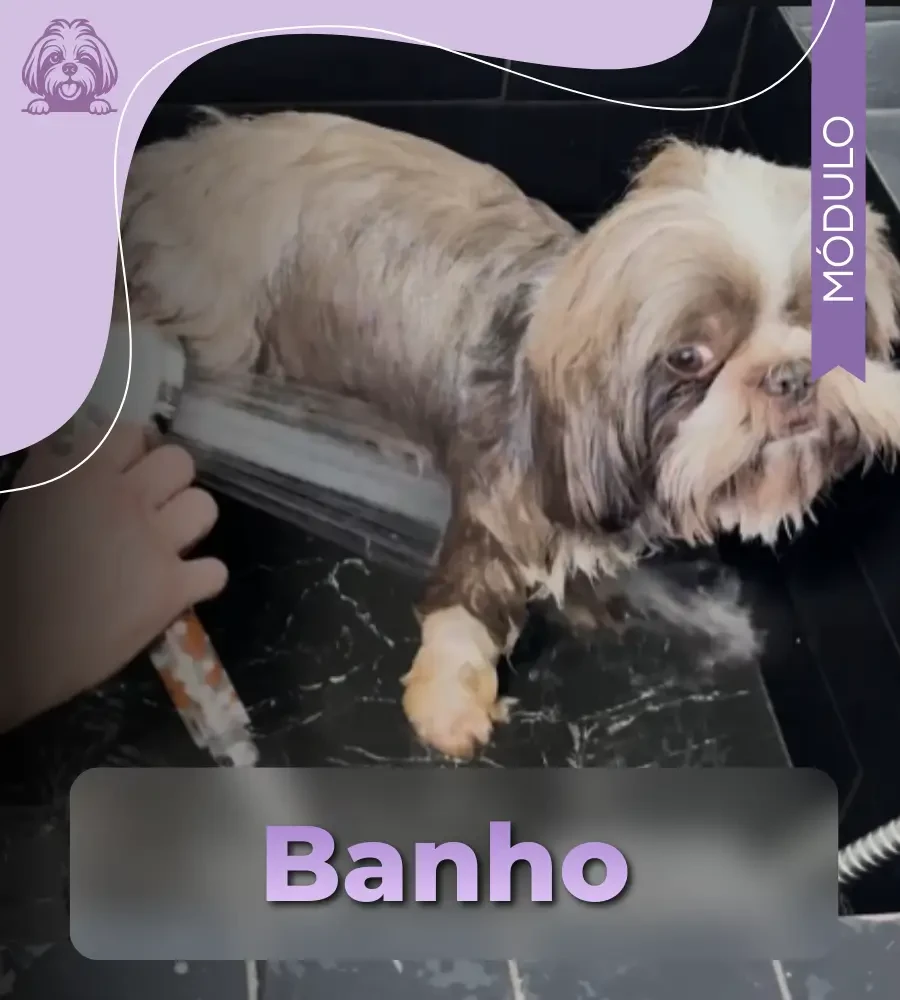 Banho