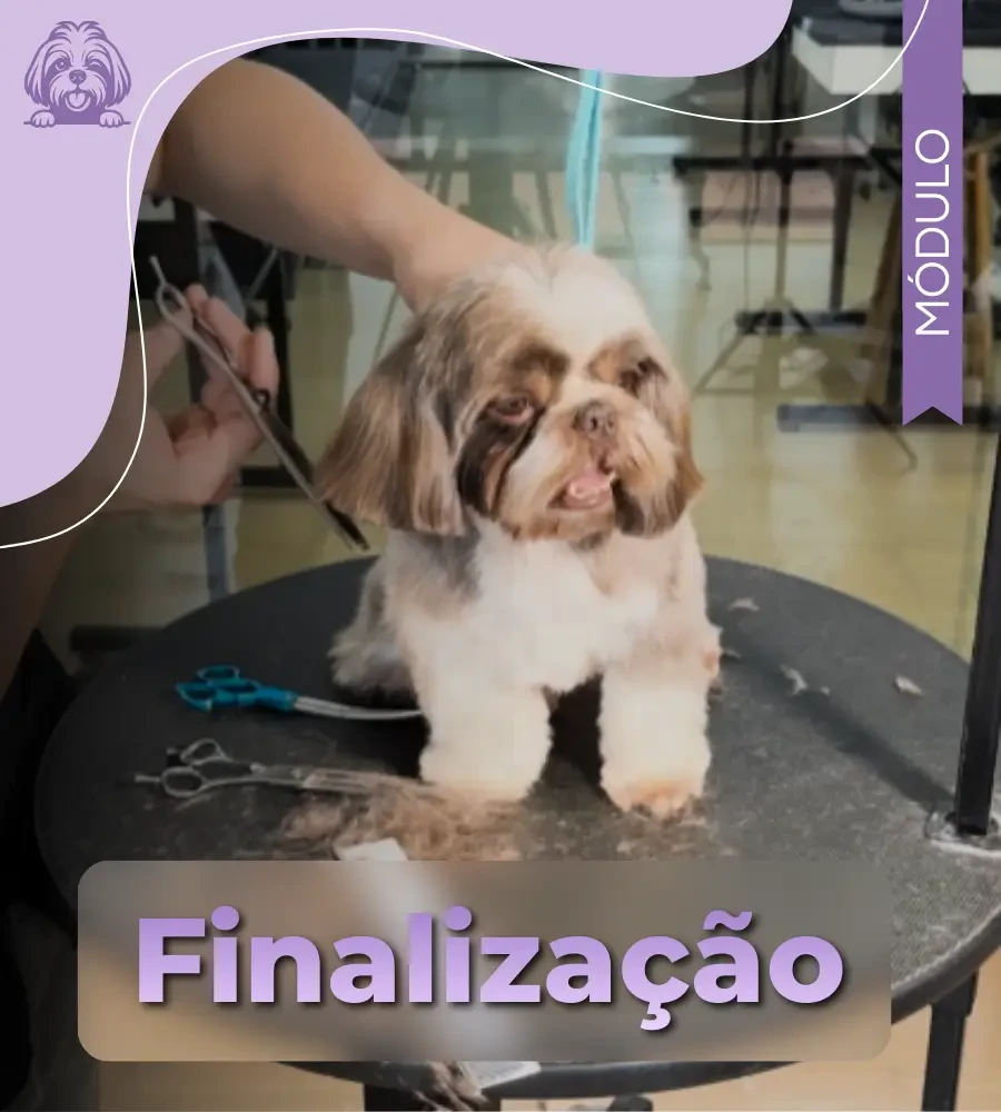 Finalização