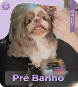 Pré-Banho